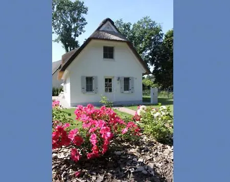בית נופש Ferienhaeuser Witt Hus וויק